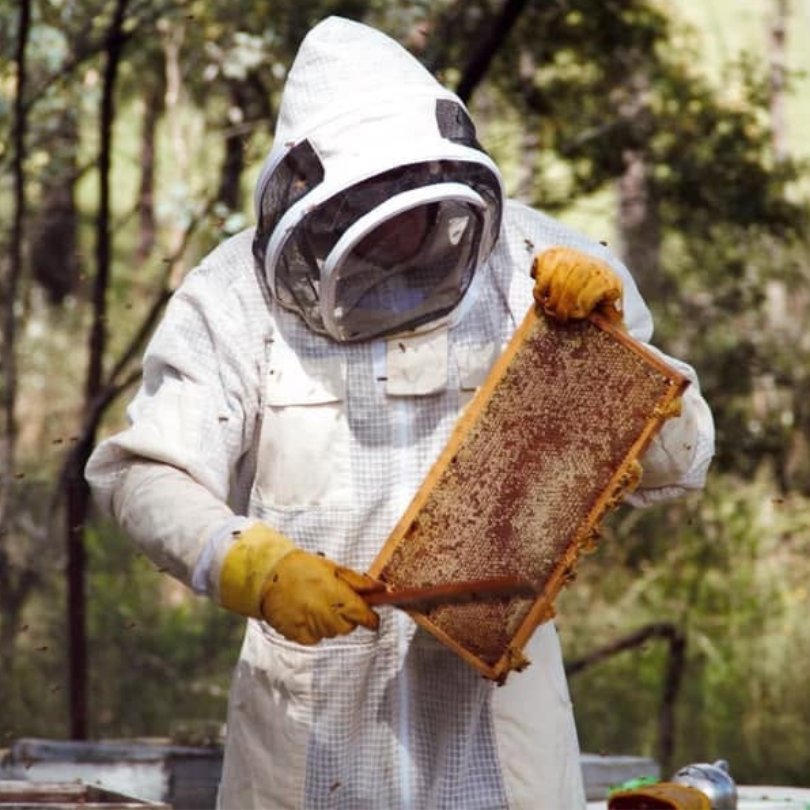About Jerrys Honey